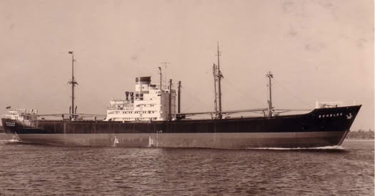 यस्तो थियो नेपालले किनेको पहिलो पानीजहाज